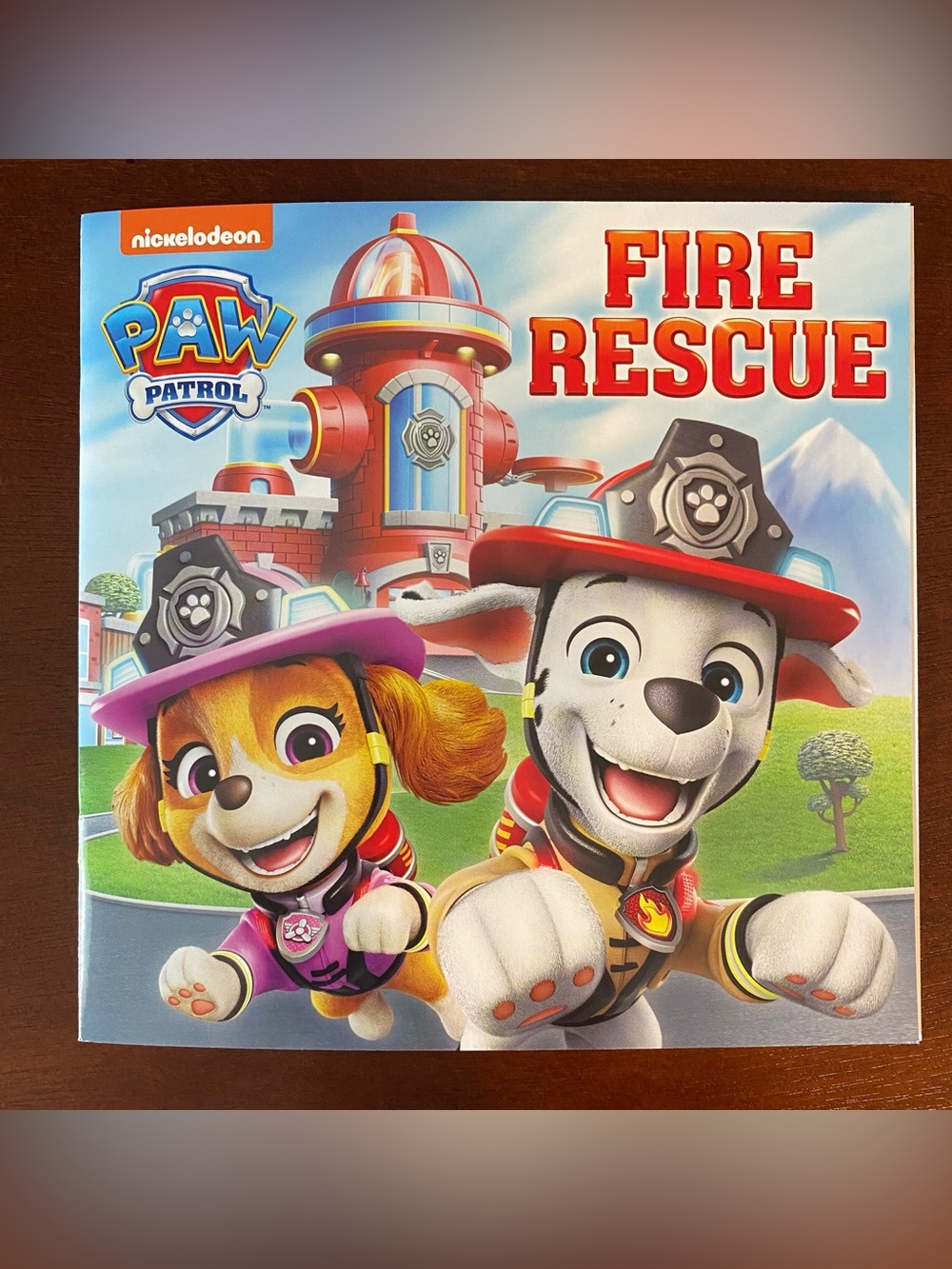 Kids Paperback Set - Paw Patrol Fire Rescue & The Berenstain Bears - Picture 2 of 9